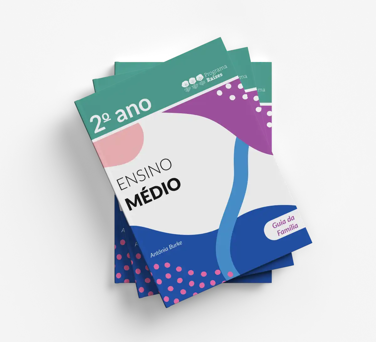 EM_2o_ano_GUIA_FECHADO 2