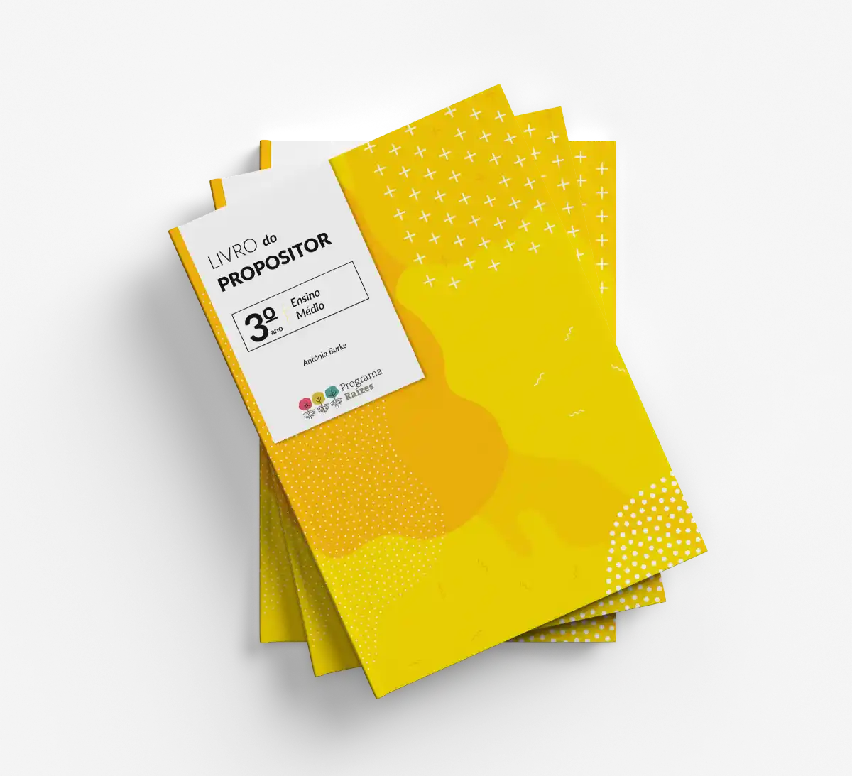 Livro_Raízes_Propositor 3 (1)