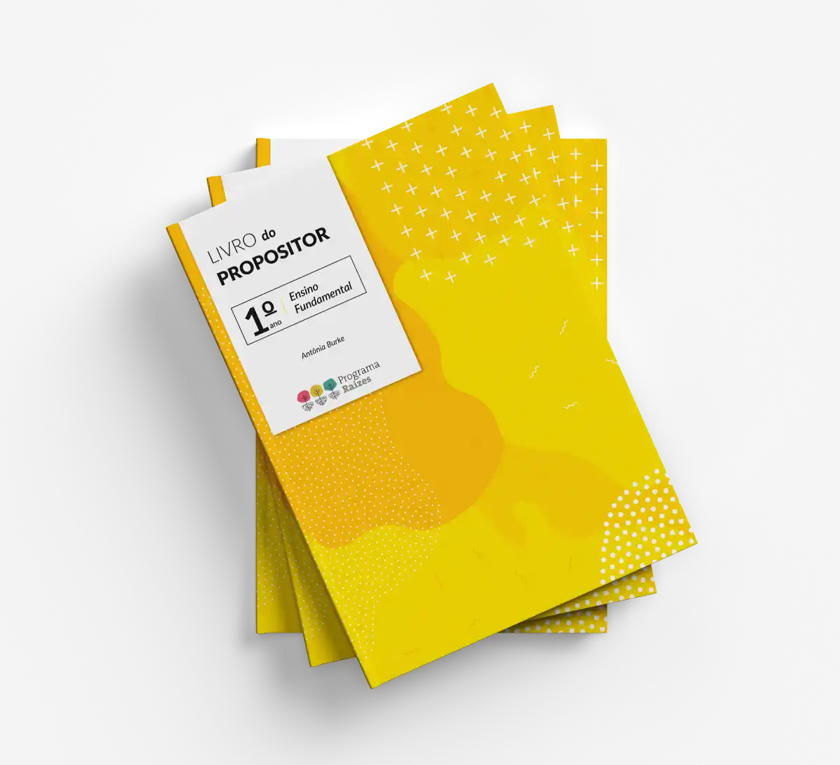 Livro_Raízes_Propositor 3